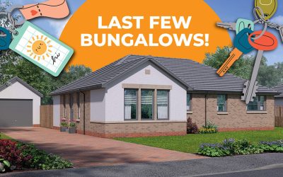 It’s Time To Bag A Bungalow!